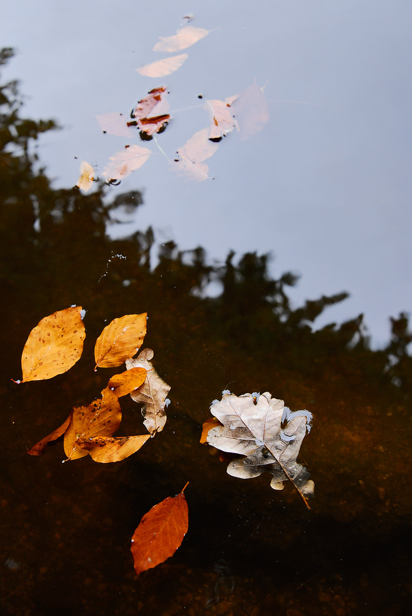 Heidi Mayer Fotografie München, Ausstellung, 10x10