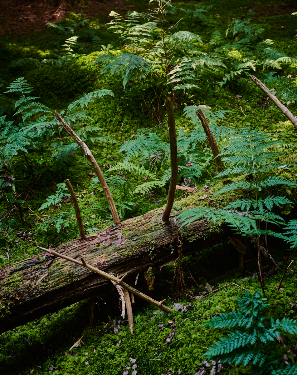 Heidi Mayer Fotografie