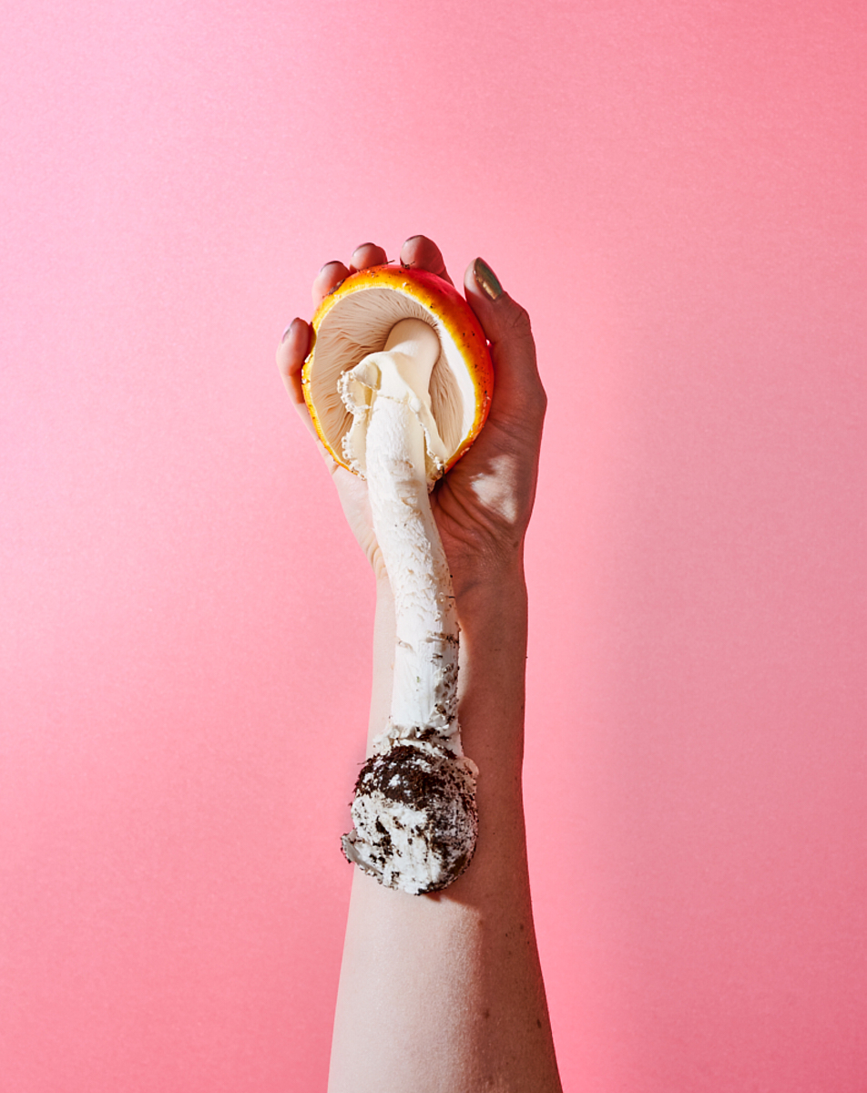 Heidi Mayer Fotografie